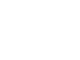 Phone Genie35 logo